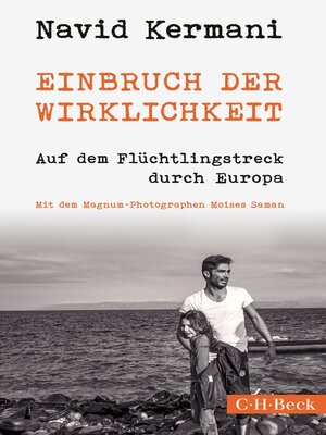 cover image of Einbruch der Wirklichkeit